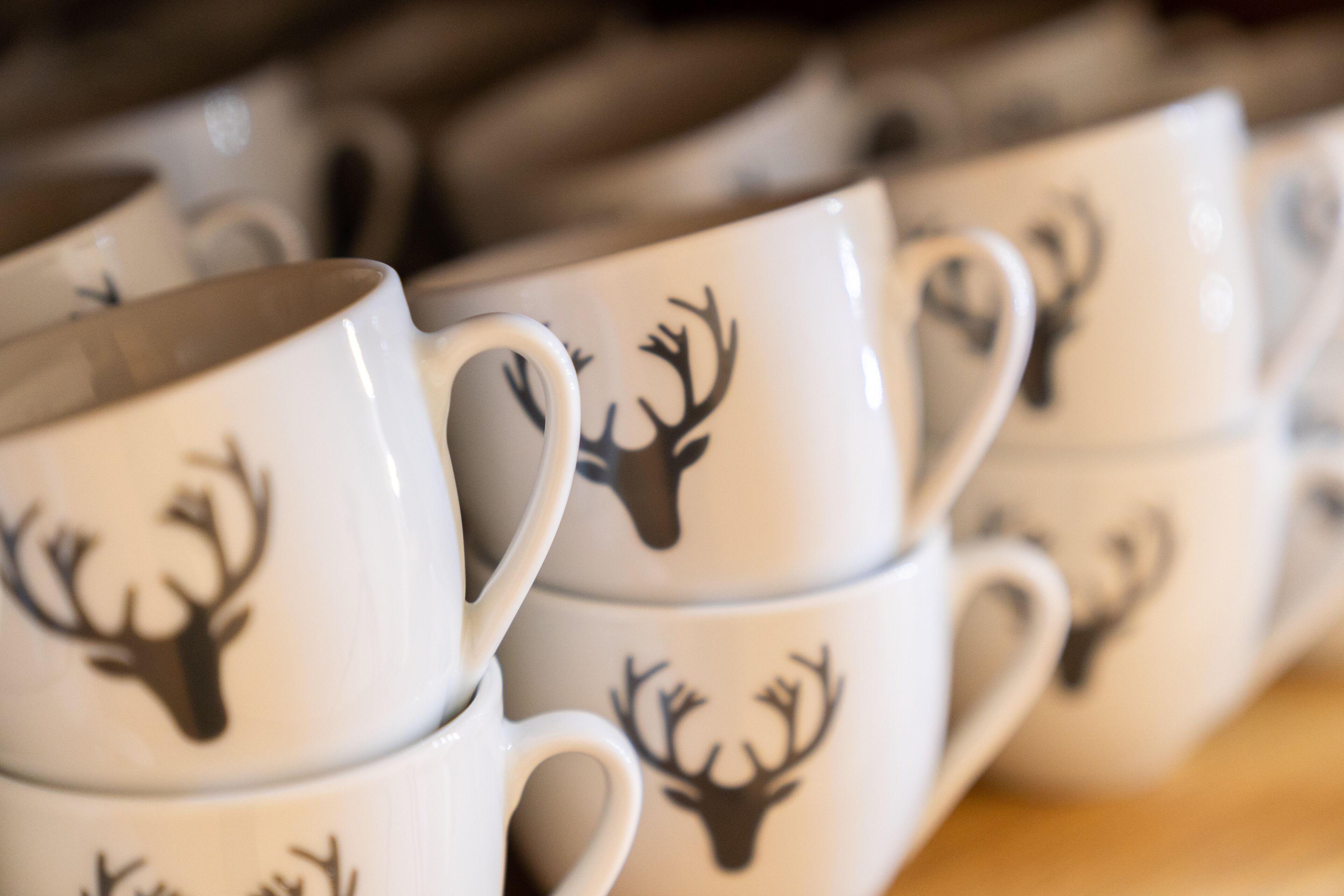 Photo - Flöckner B&B