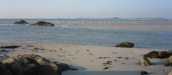 house / villa - Saint-Pol-de-Léon