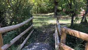 Un sentier en bois traverse une zone boisée, et une clôture rustique borde le sentier d’un côté.