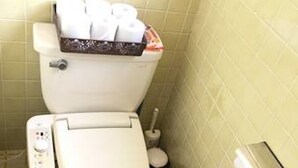 Des toilettes dotées d’un panneau de commande, d’un porte-rouleau de papier toilette et d’un jet bidet.