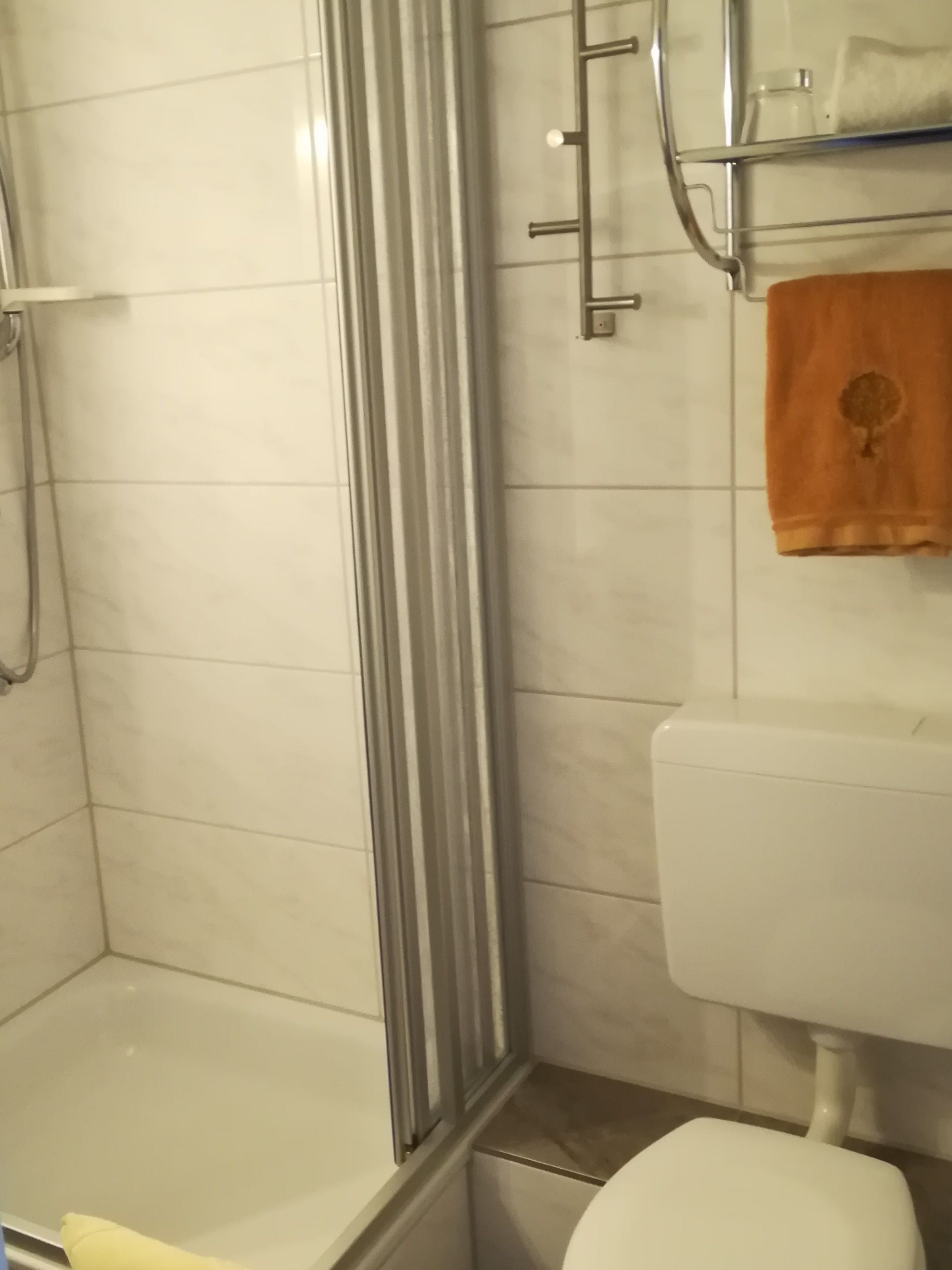 Un baño con ducha, inodoro y un perchero para toallas.
