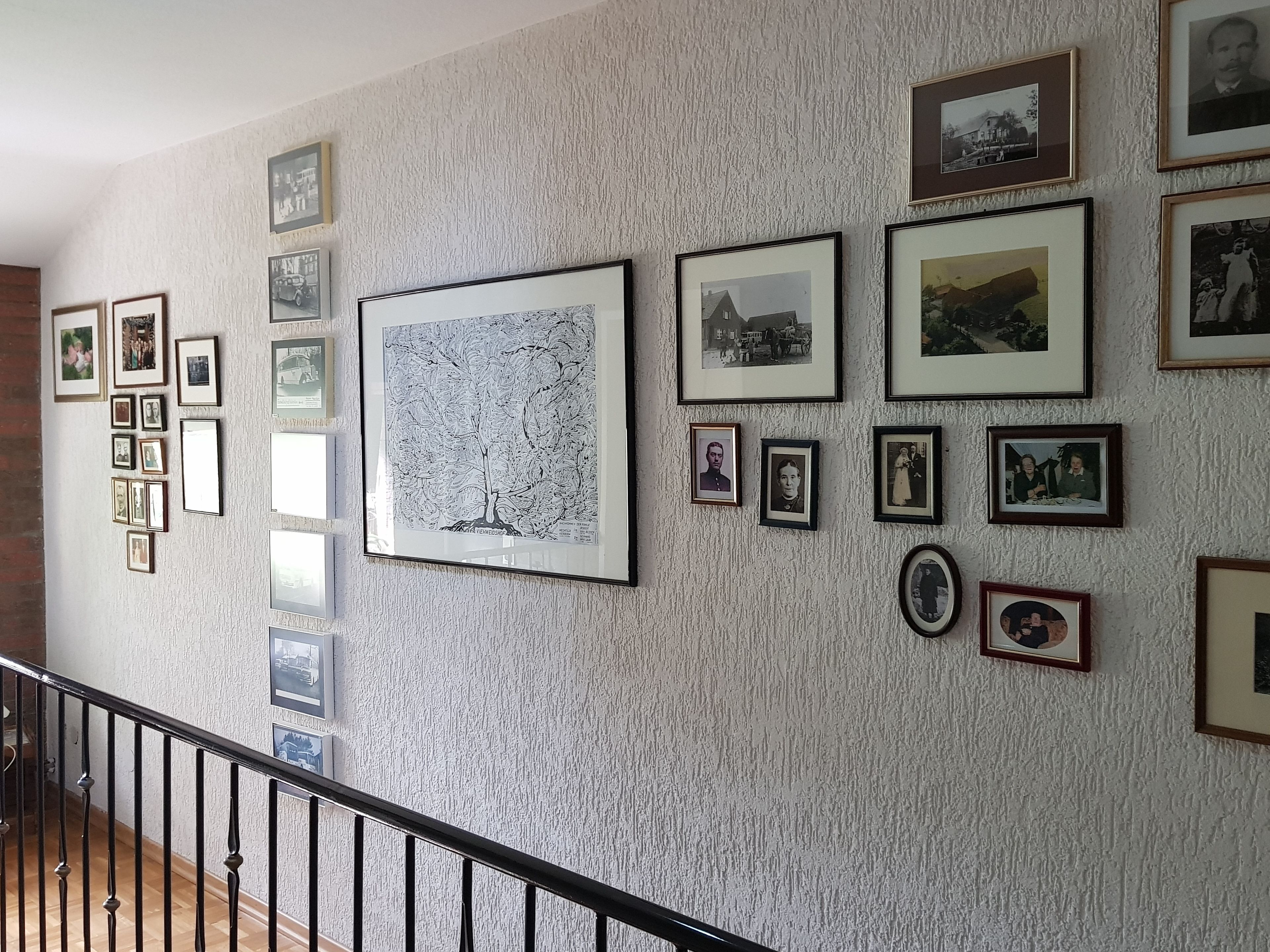 Eine Wand mit mehreren gerahmten Fotografien und einer großen Baumzeichnung.