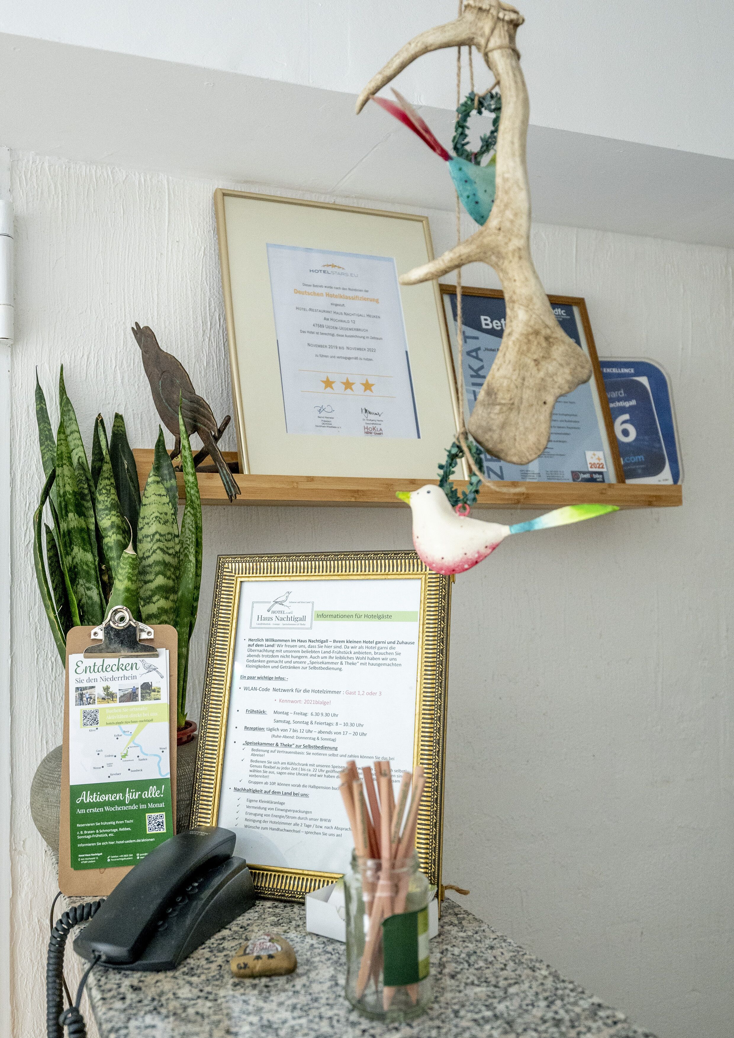Un comptoir d’accueil orné d’un certificat encadré, d’une statuette d’oiseau, d’une plante et d’une décoration murale.