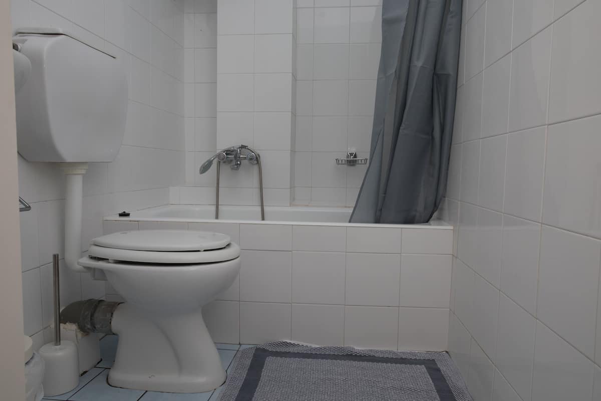 standard apartment | bathroom | shower, free toiletries, hair dryer, towels