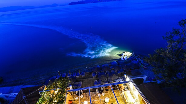 Une terrasse en bord de mer avec des places assises extérieures et une vue sur l’océan.