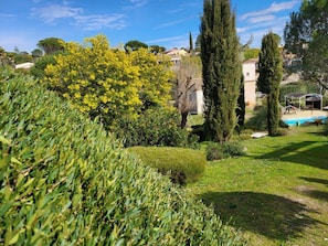 A garden with a swimming pool, neatly trimmed hedges, and tall trees.