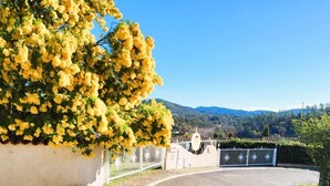 A gated entrance with a clear view of a mountainous landscape in the background. - 15mn Cannes, Fréjus, Gîte les Mimosas 2à4pers animals contact the owner (Montauroux)
