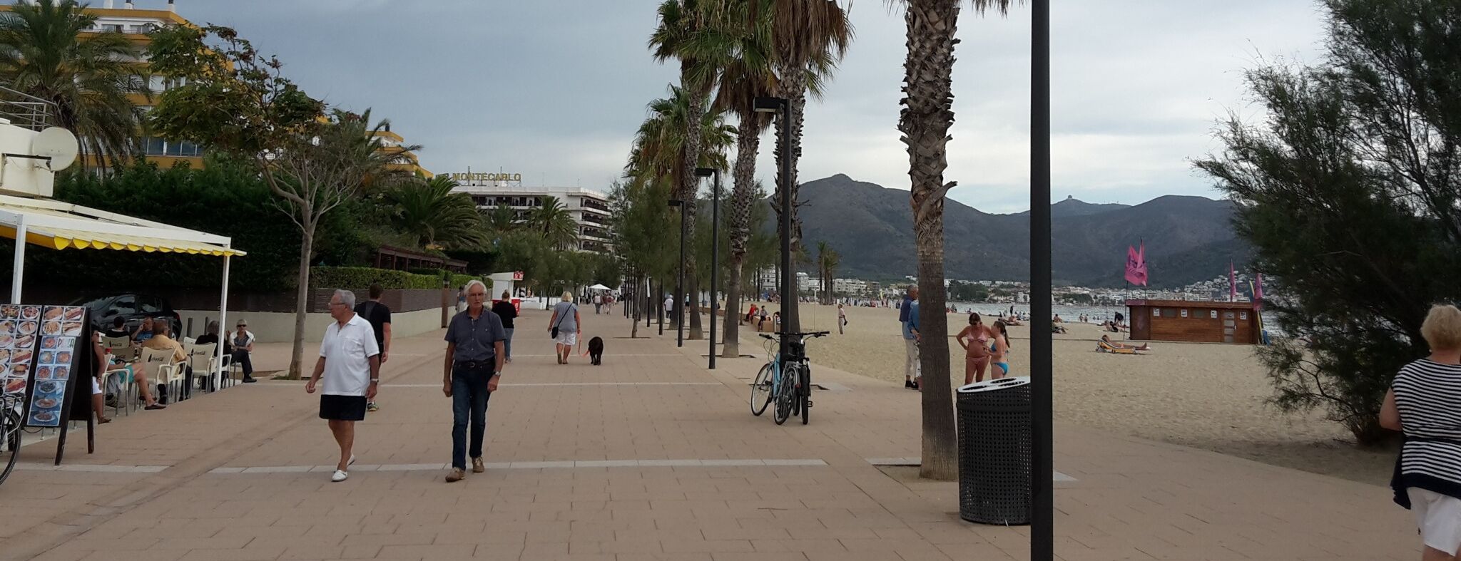 Un paseo marítimo costero con palmeras, una playa y una montaña al fondo.