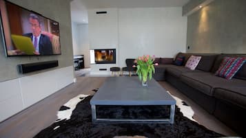 TV connectée, cheminée, jeux vidéo, lecteur de DVD