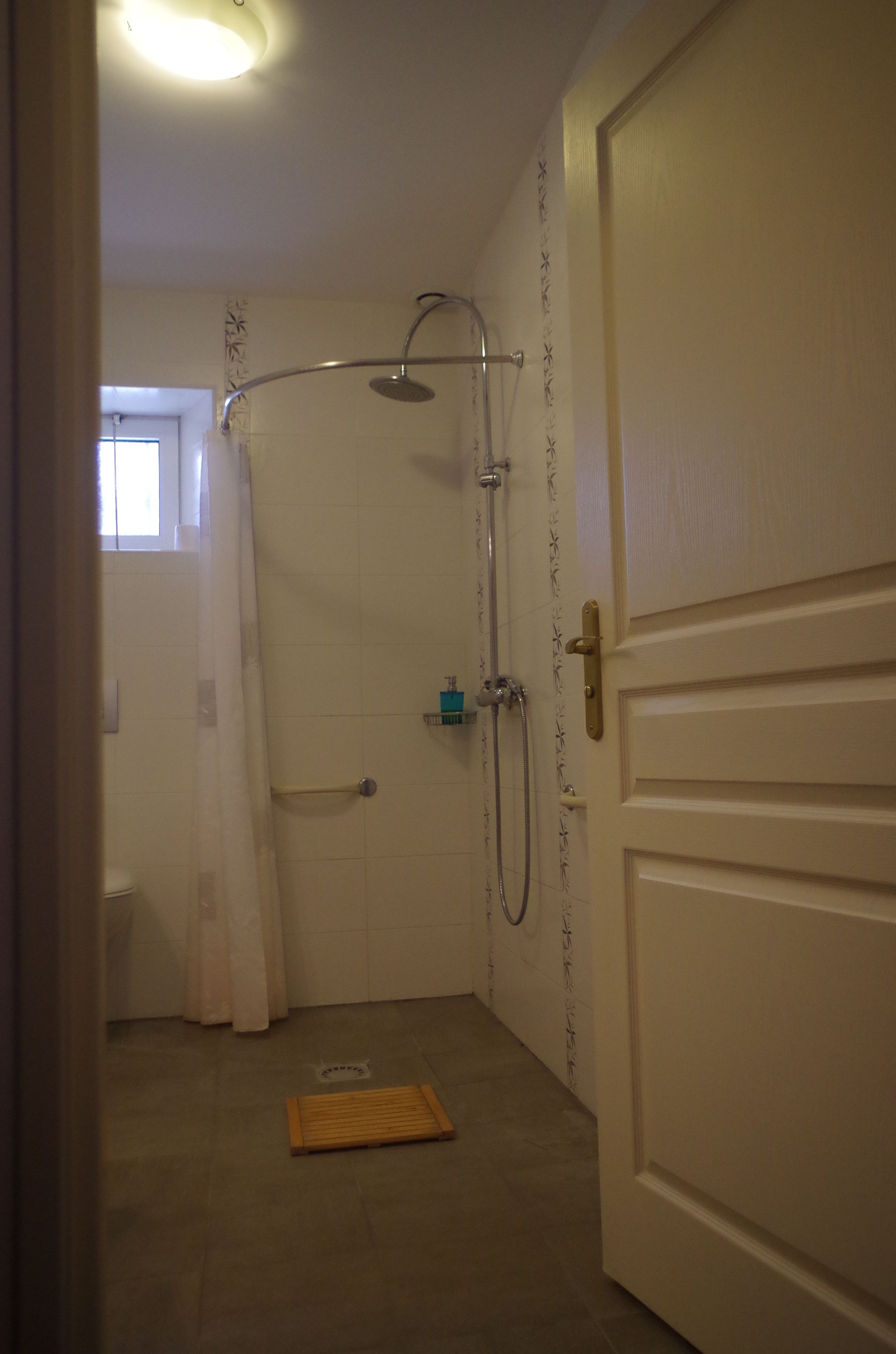 A bathroom with a shower, a toilet, and a door.