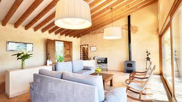 TV, fireplace, table tennis