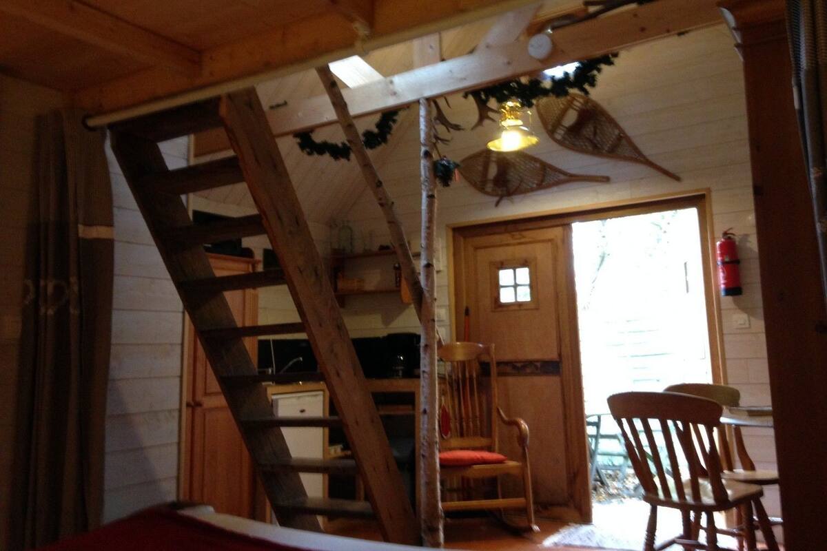 A wooden interior with a wooden ladder, a wooden door, and a chair.