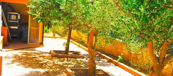 Awsome Villa : Large Private Pool - Free Wifi & Bikes