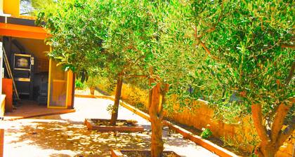 Villa situé dans une trÚs belle vue jardin, terrasse et la mer lumineuse