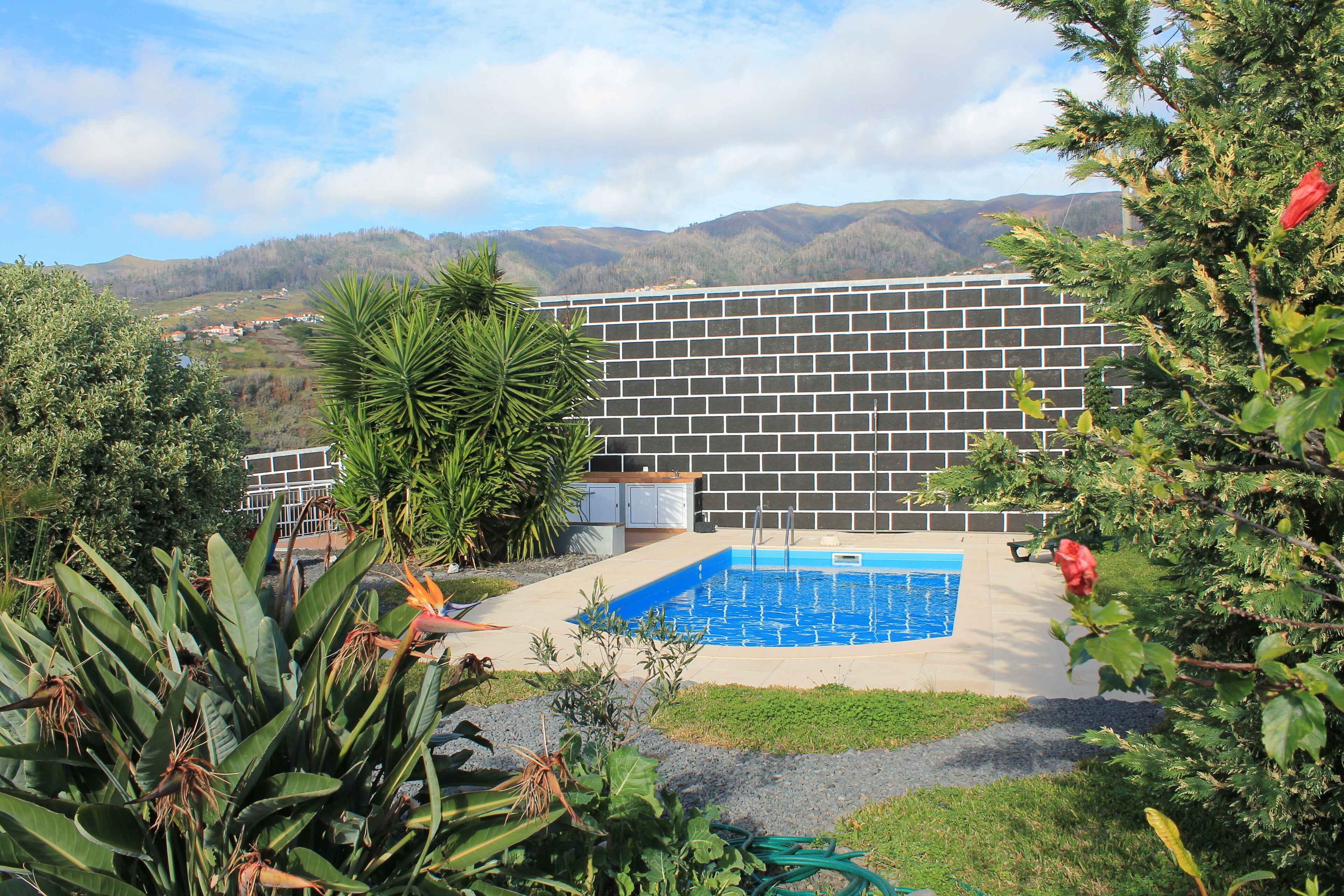 Une piscine dont le fond est bordé d’un mur en briques, entourée de plantes tropicales et offrant une vue sur des collines lointaines.