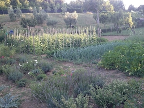 Parco della struttura