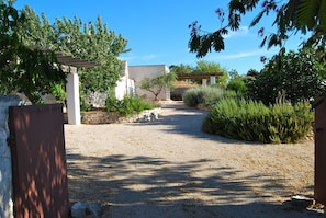 Overnattingsstedets uteområder