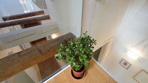 Una pianta in vaso su una panca di legno in un ambiente interno moderno con ringhiere in vetro e una parete bianca.