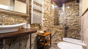 Shower, hair dryer, bidet, towels