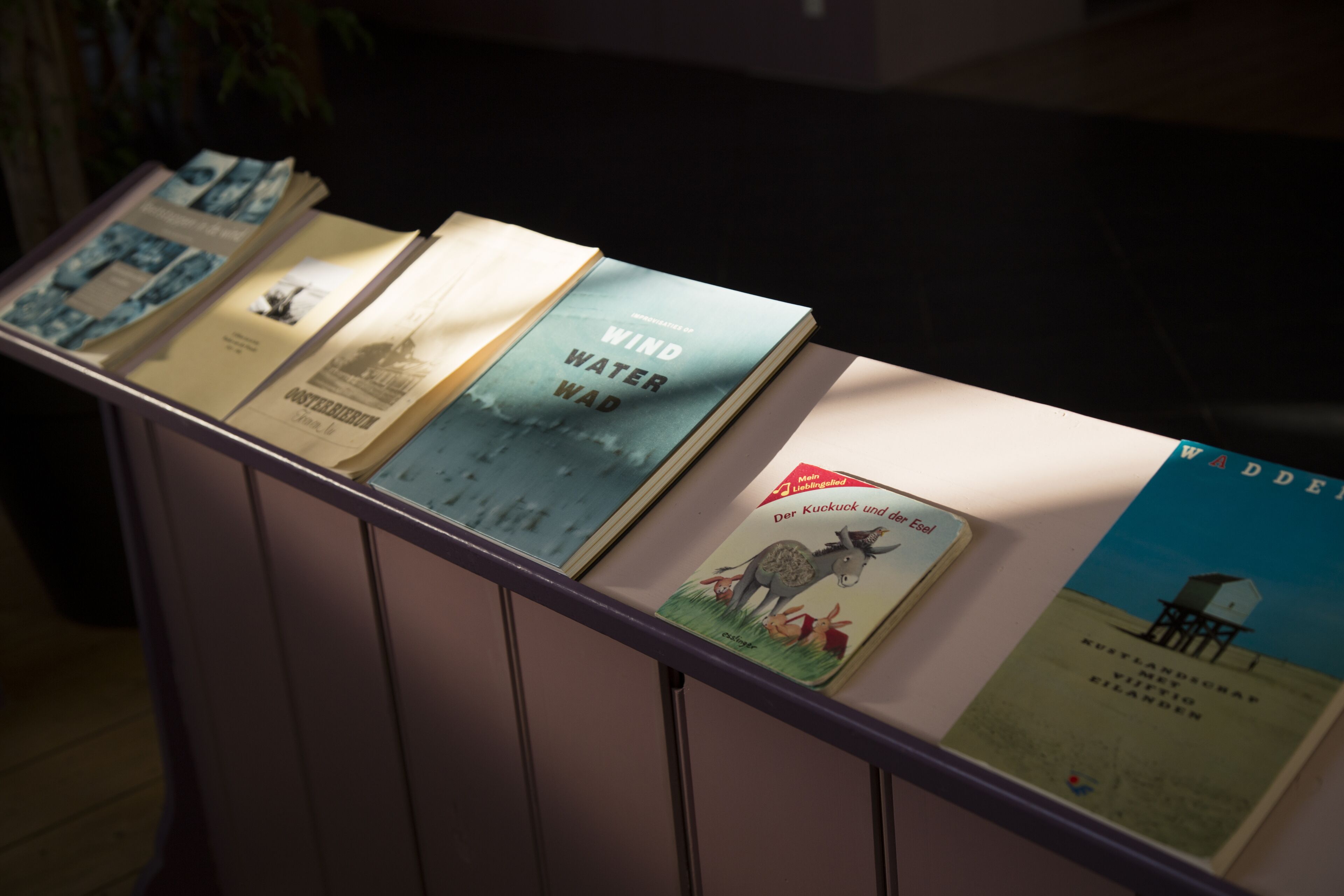 A display of books with visible titles and illustrations.