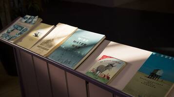 A display of books with visible titles and illustrations.