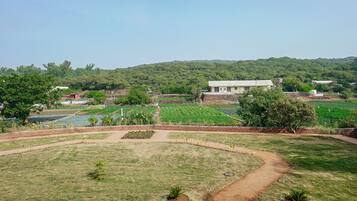 Deluxe Room, Non Smoking | View from room