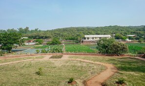 Deluxe Room, Non Smoking | View from room