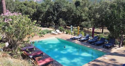 COMFORTABLE CHALET HEATED POOL BEACHES AND RIVER 10 MIN AWAY
