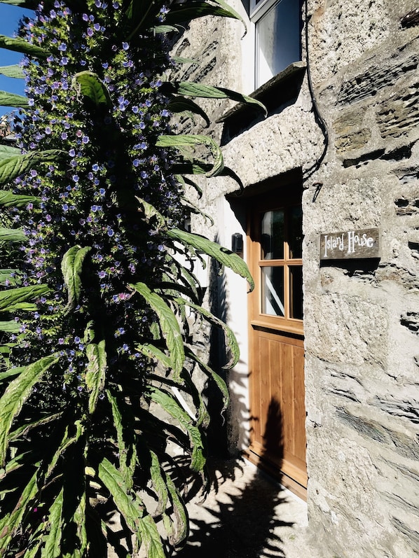 Detalle exterior