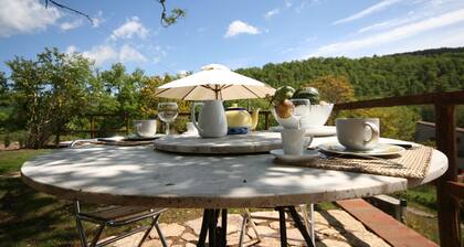 Hut with a view in the heart of the Chianti area with swimming pool and Jacuzzzi