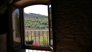 Un balcón con pared de piedra y vistas a un viñedo.