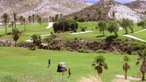 A golf course with a bridge, palm trees, and a mountainous backdrop.