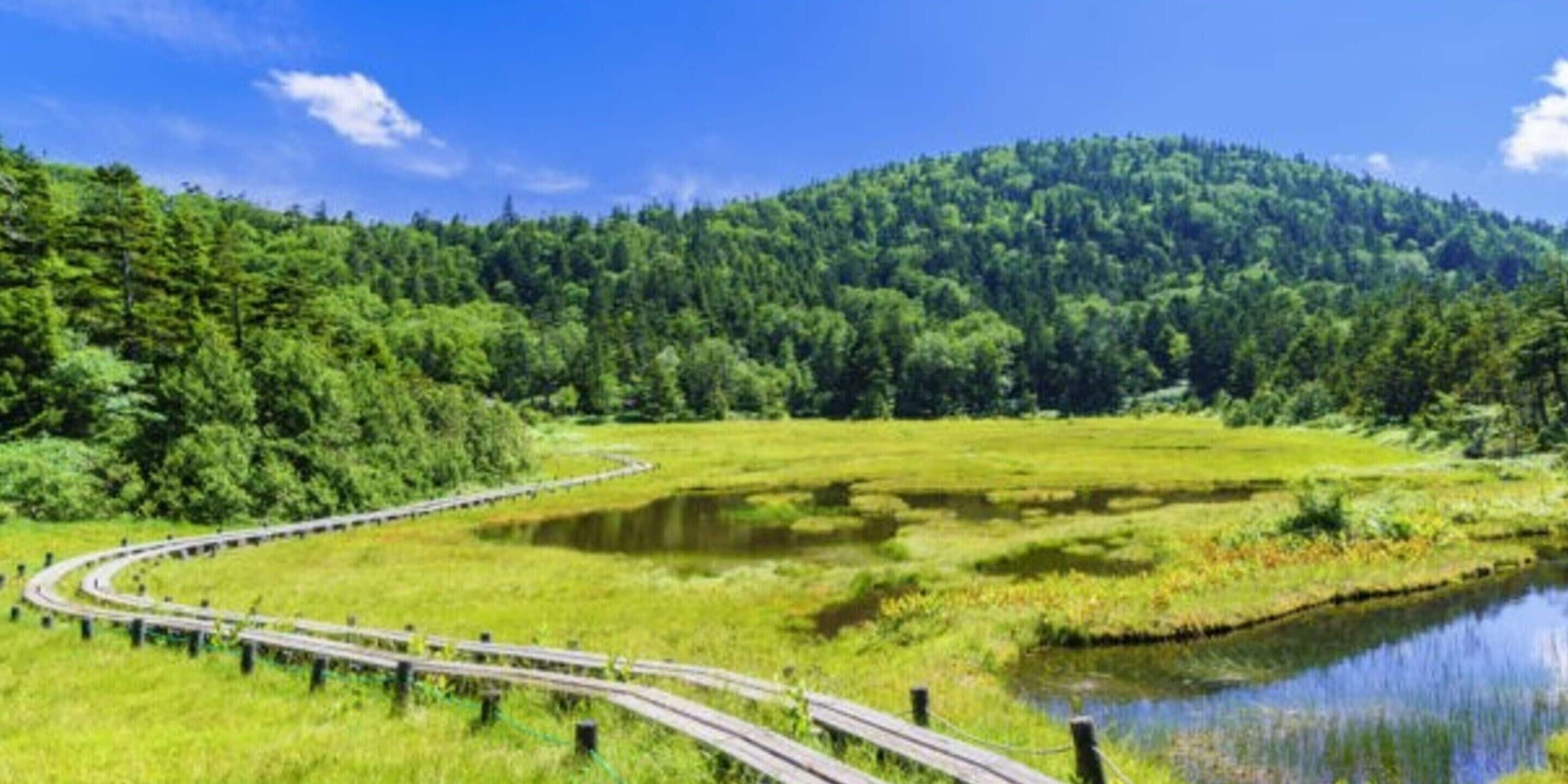 A winding road through a lush green landscape with a forested hill in the background.