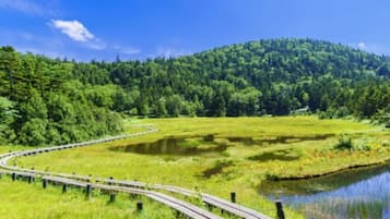 A winding road through a lush green landscape with a forested hill in the background.
