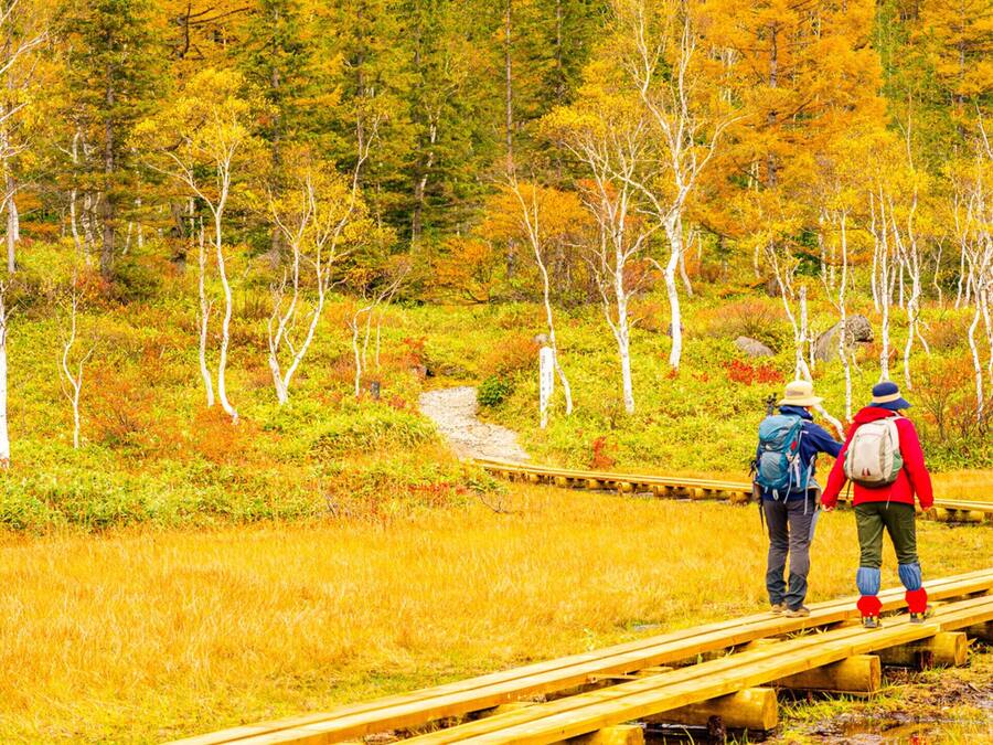 Dos personas caminando sobre un puente de madera en un área boscosa con follaje otoñal.