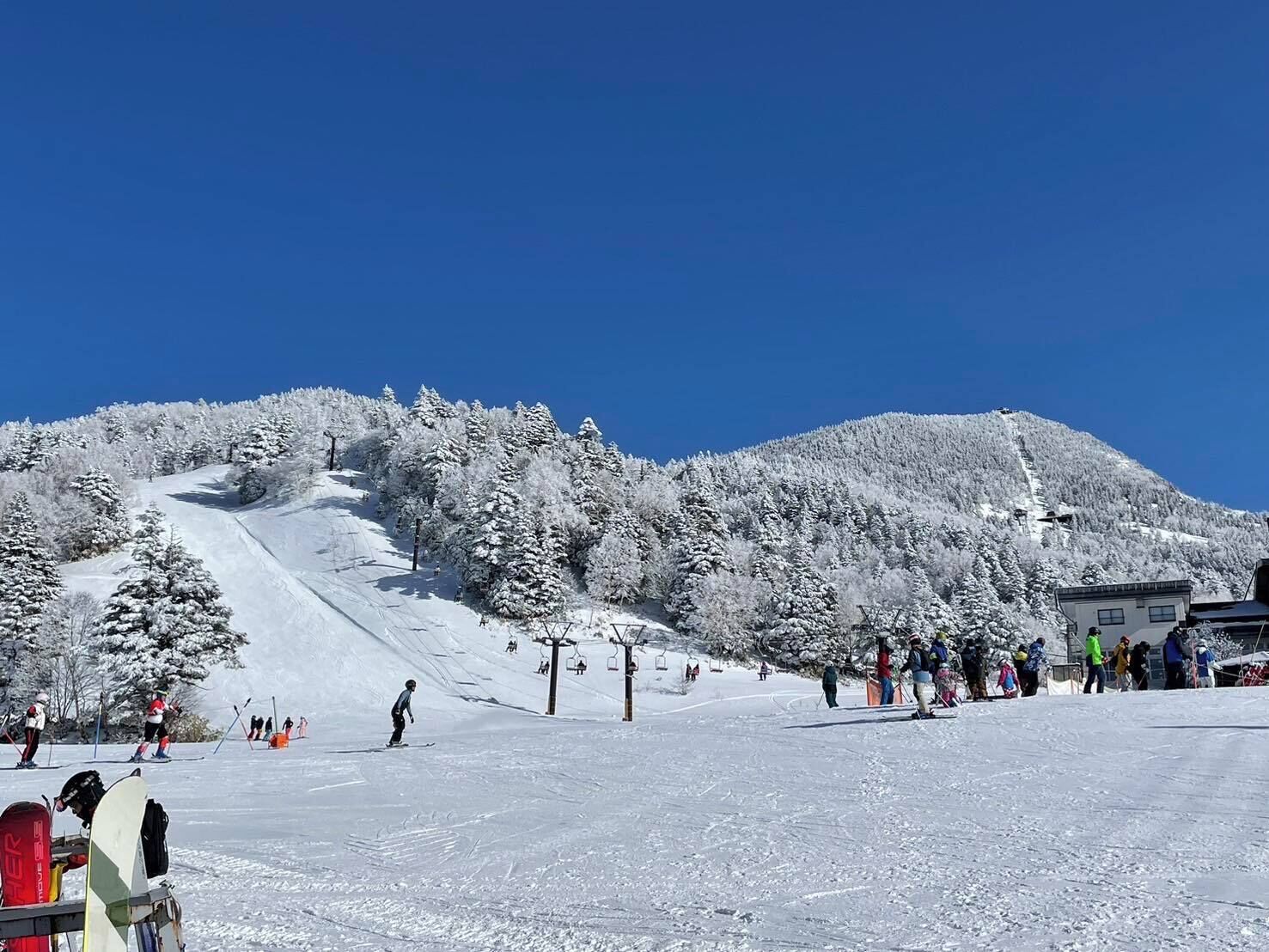 Estância de esqui com um teleférico, árvores cobertas de neve e um céu azul claro.