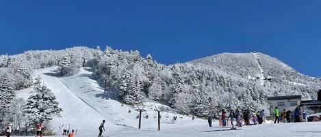 Estância de esqui com um teleférico, árvores cobertas de neve e um céu azul claro.