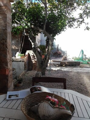 Terraza o patio