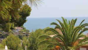 Blick auf die Küste mit blauem Himmel, einer Palme und Gebäuden im Hintergrund.