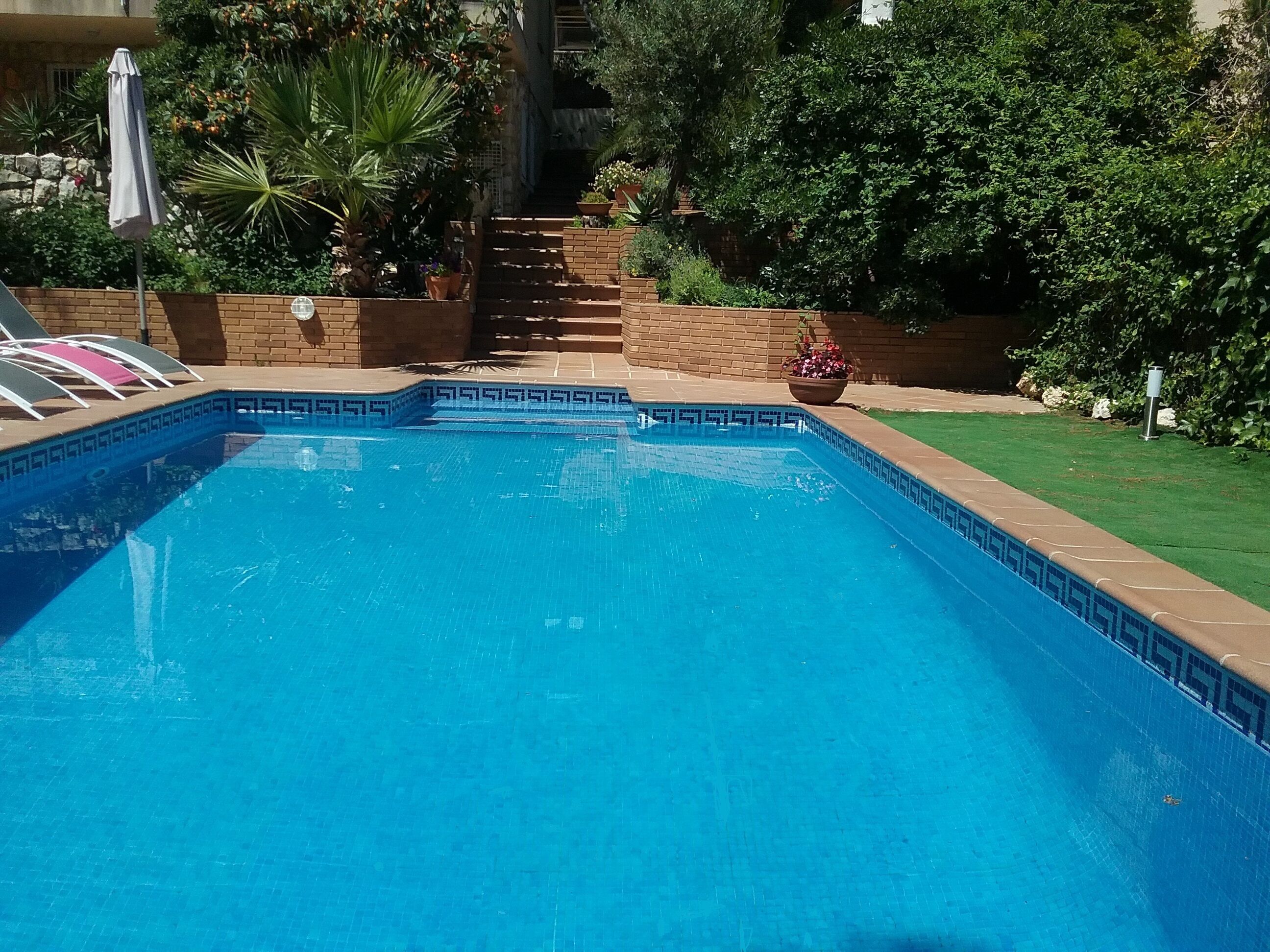 Une piscine rectangulaire dont le bord est recouvert de carreaux bleus, entourée d’un mur de briques et d’une pelouse agrémentée de plantes en pot.