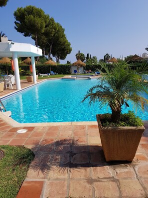 Piscine extérieure, chaises longues