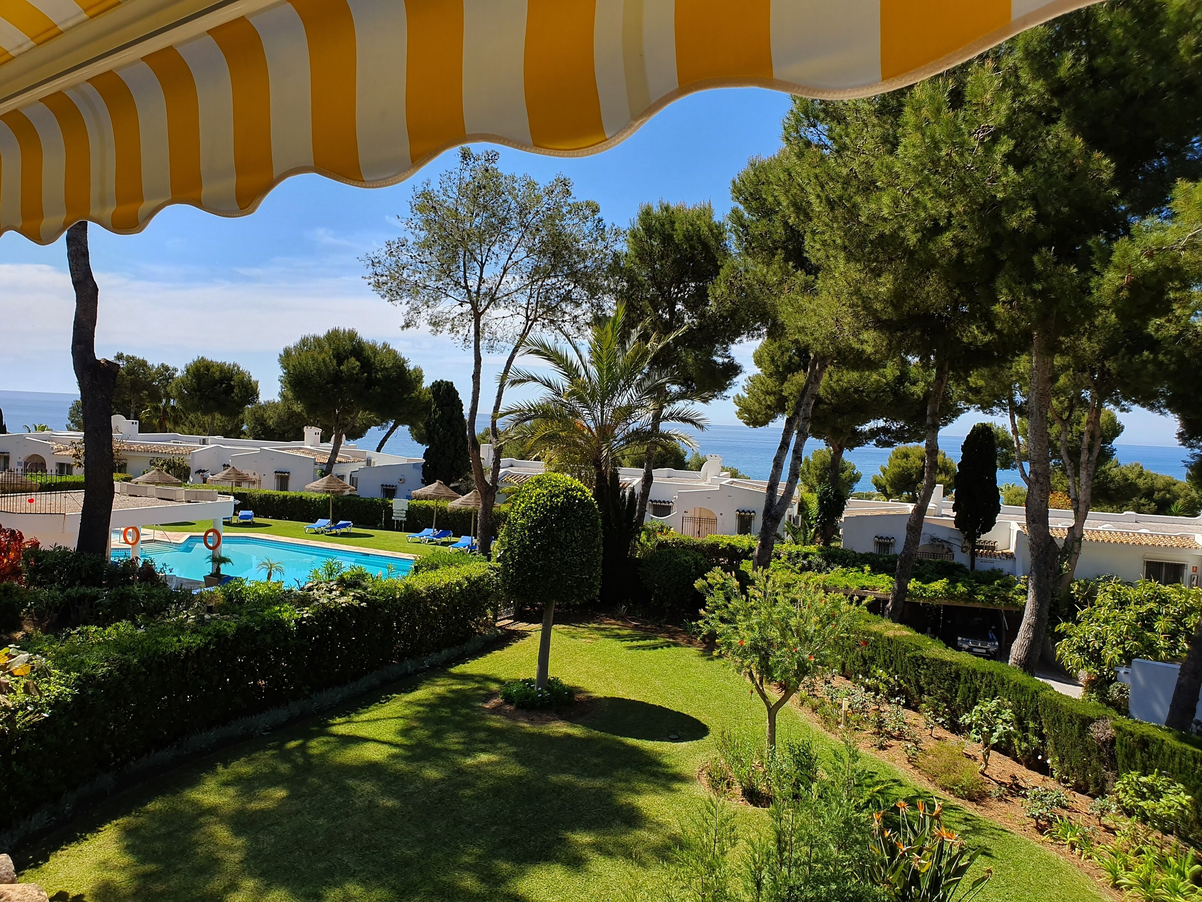 A pool area with lounge chairs, surrounded by well-maintained hedges and trees, with a view of the sea and buildings in the background.