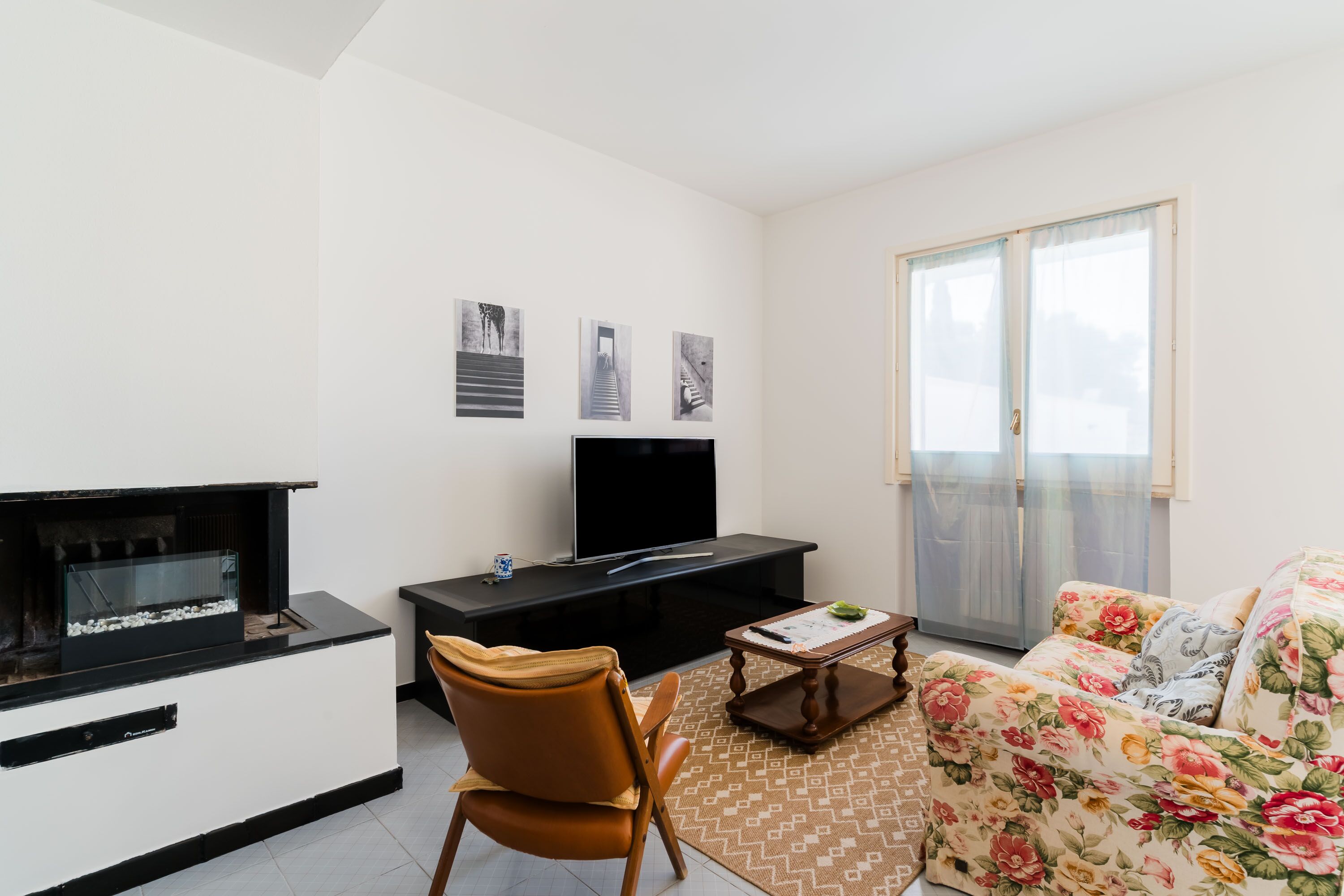 Télévision, cheminée, livres, chaîne hi-fi