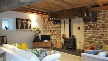 Smart TV, fireplace, DVD player, books