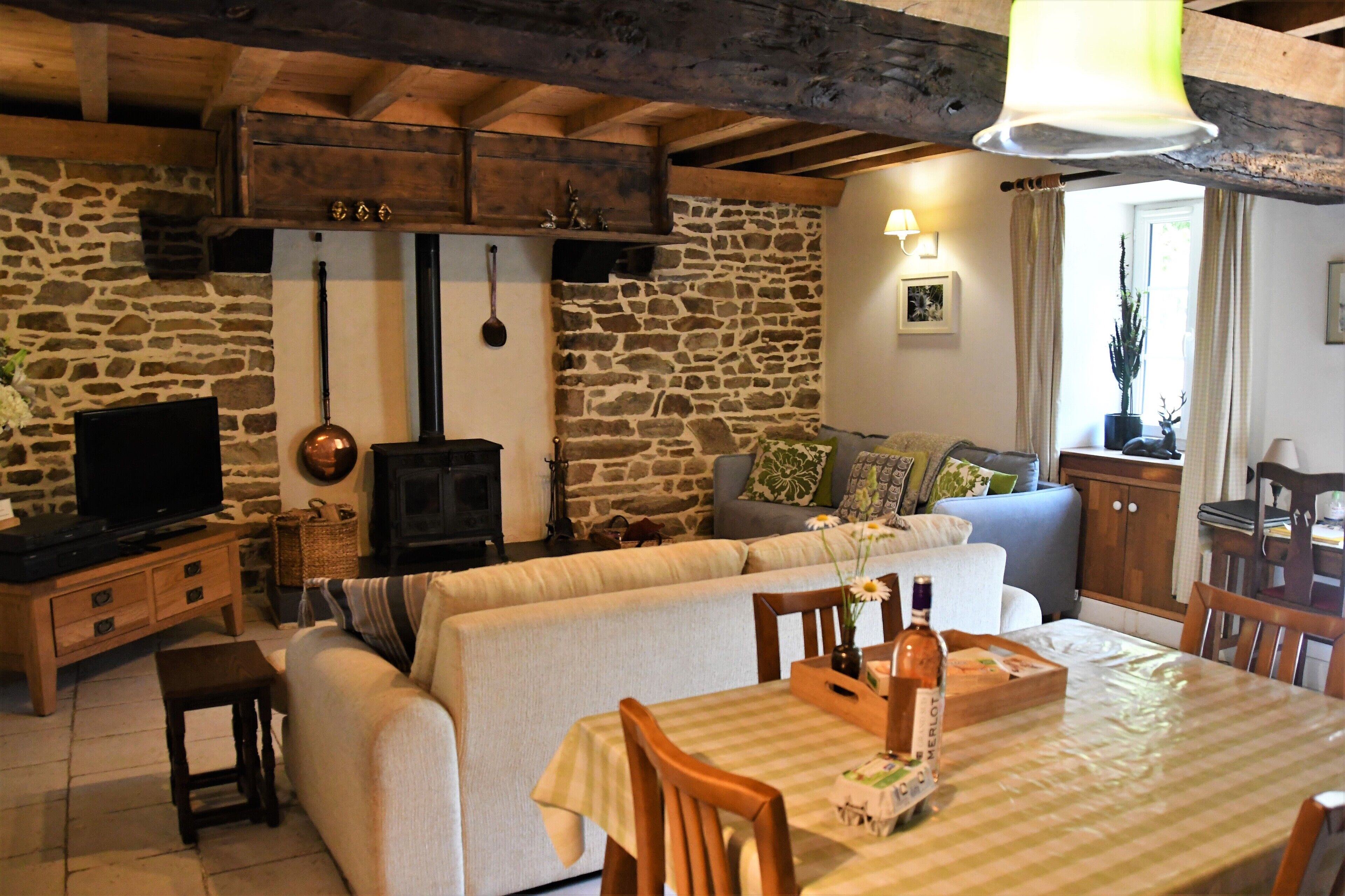 Smart TV, fireplace, DVD player, books