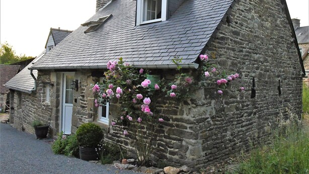 A stone house with a sloped roof, a small dormer window, and pink flowers growing along the wall. - "Le Cerisier" Holiday Cottages, Champsecret (Champsecret)