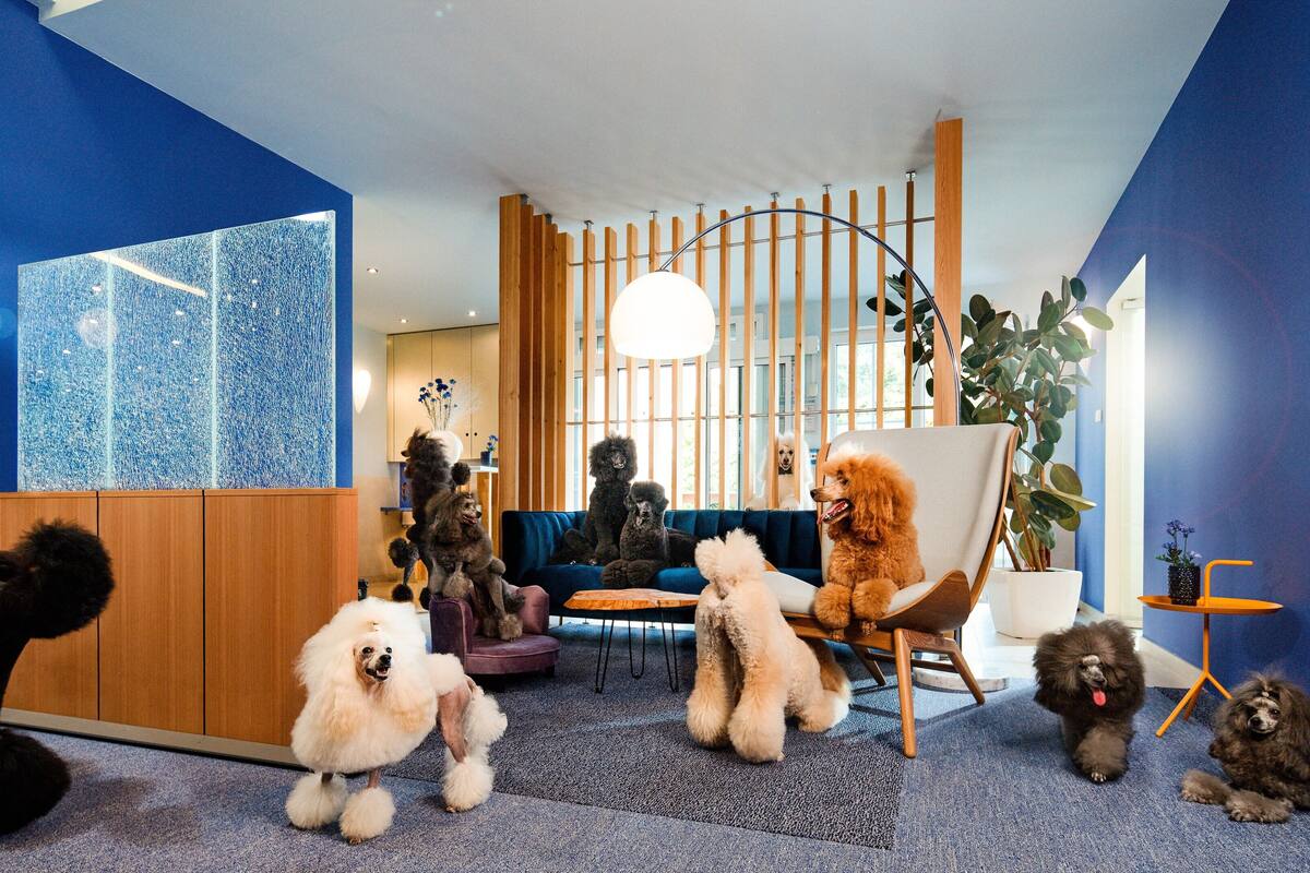 serves breakfast, lunch and dinner