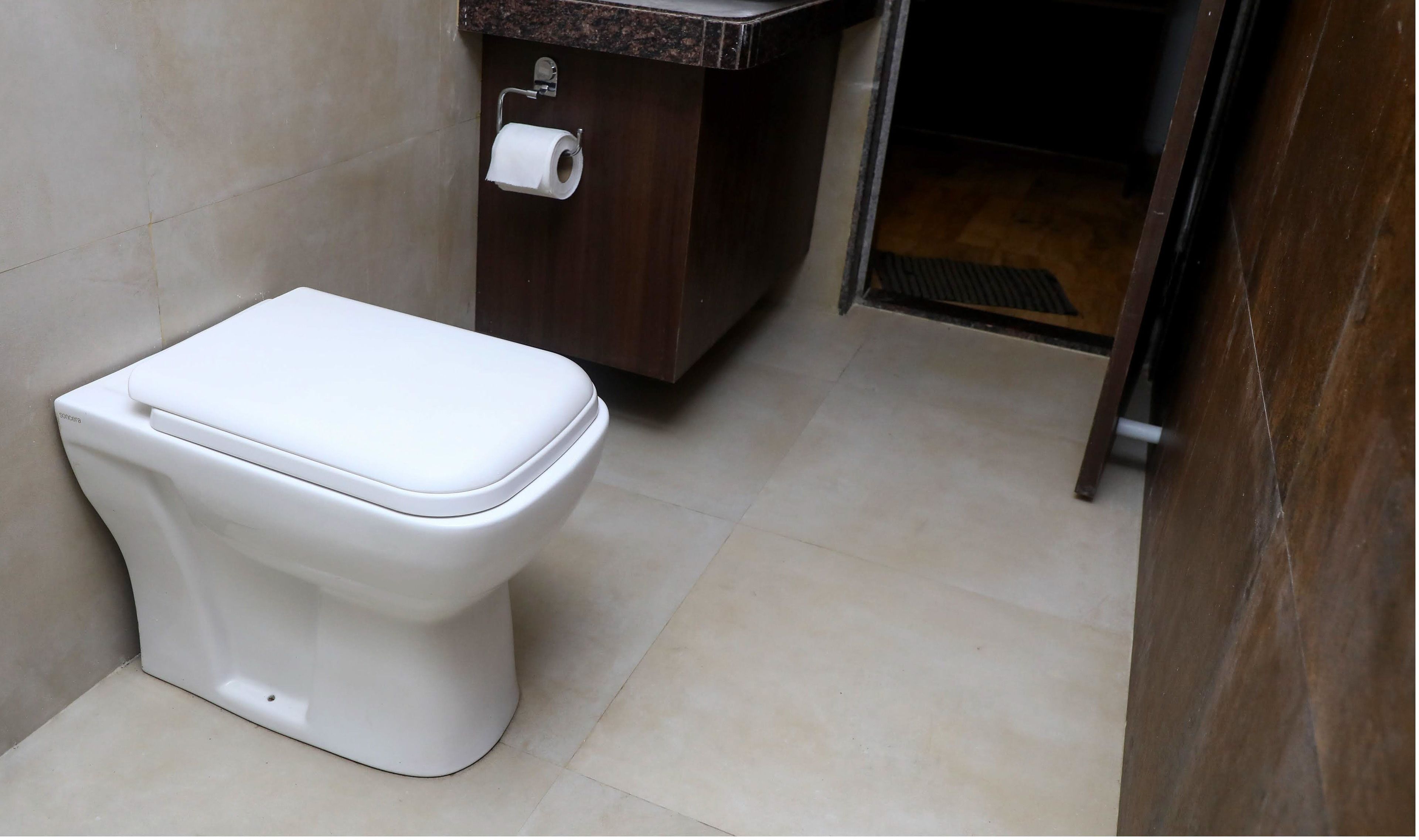 Inodoro blanco con tanque de descarga empotrado, encimera de mármol y un rollo de papel higiénico.
