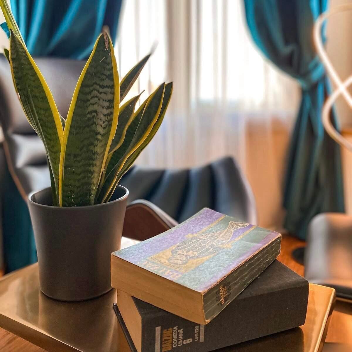 Una planta en maceta, una pila de libros y una mesa de madera en una habitación con ventana y cortinas.