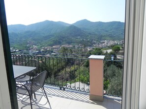 Outdoor dining - 2 zulin farm with terrace LEVANTO from 4 to 7 people 011017-AGR-0025 (Levanto)